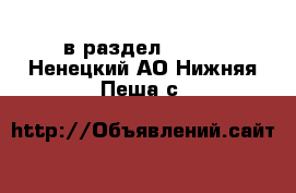  в раздел :  »  . Ненецкий АО,Нижняя Пеша с.